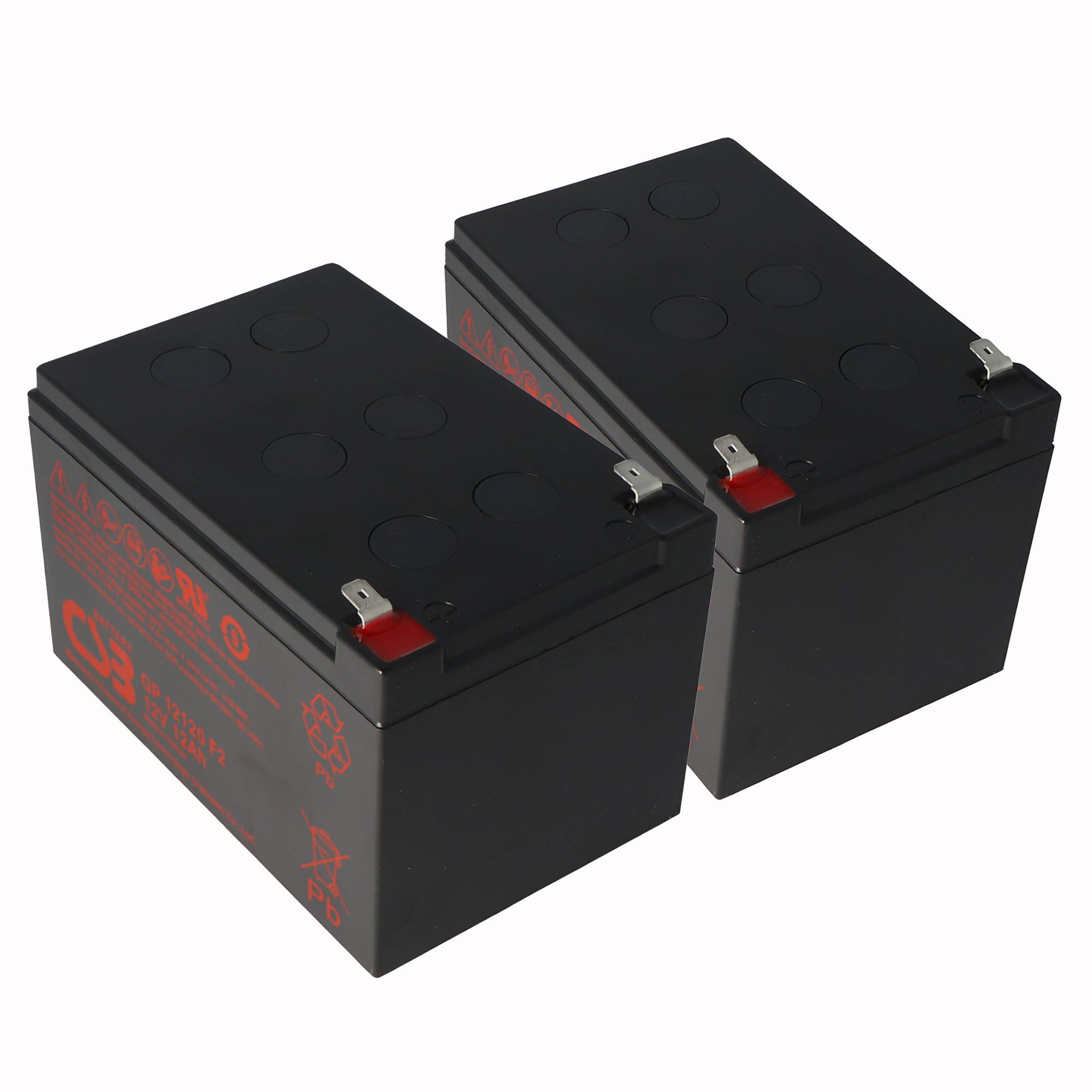 Zwei schwarze wiederaufladbare Batterien mit roten Terminaletiketten, nebeneinander auf weißem Hintergrund gezeigt.