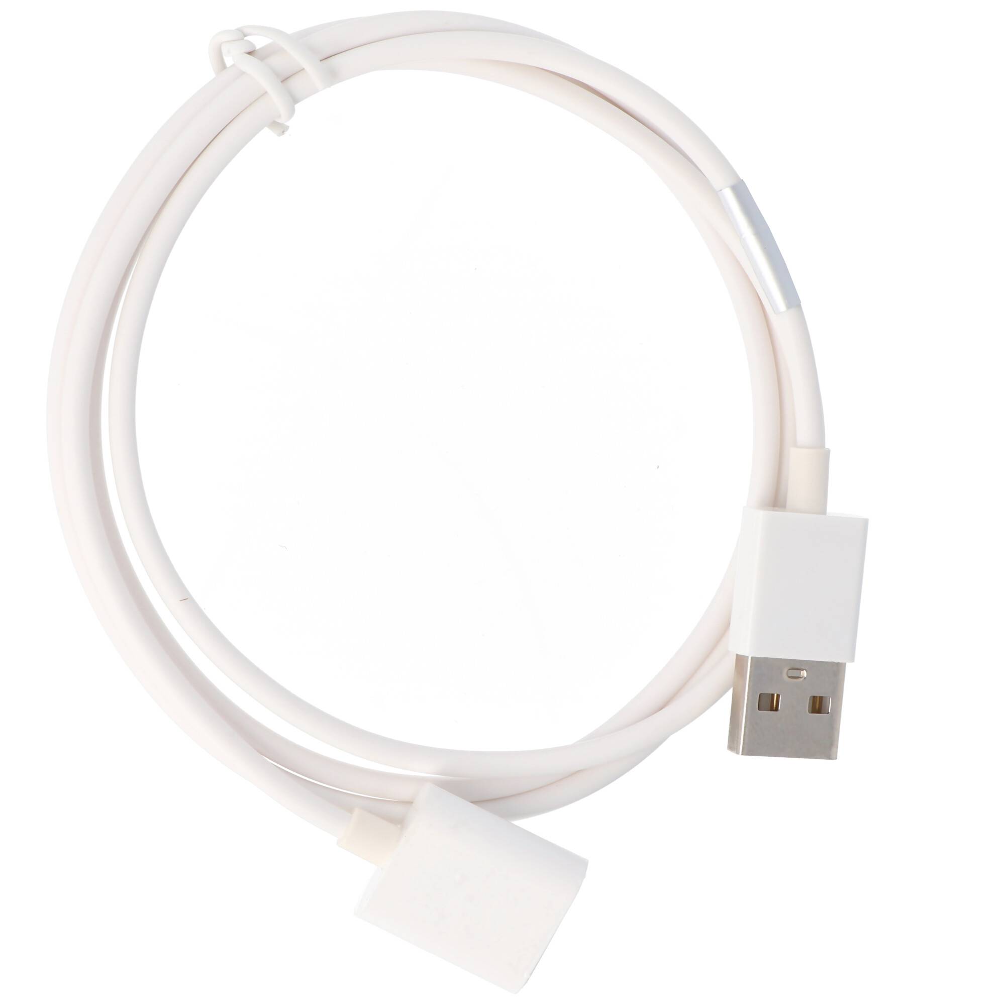 USB Ladekabel passend für Apple Pencil