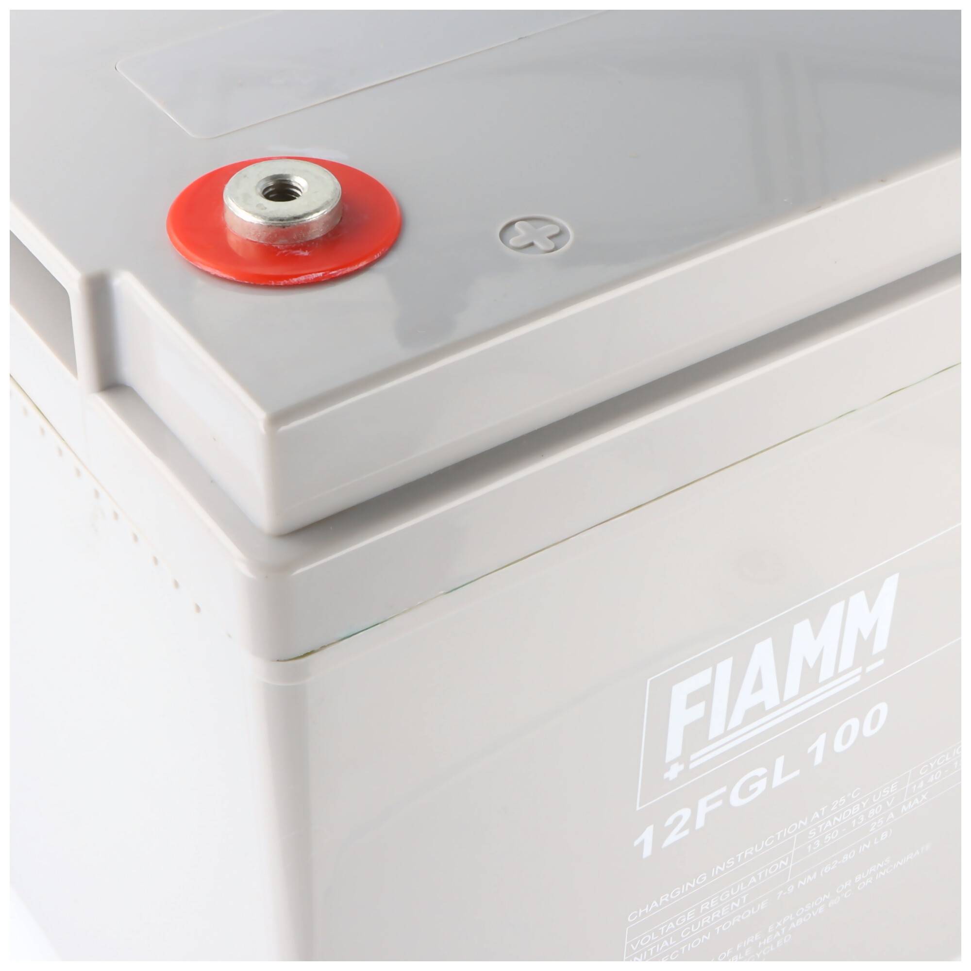 Fiamm 12FGL100 Blei Akku mit M6 Schraubanschluss 12V, 100000mAh