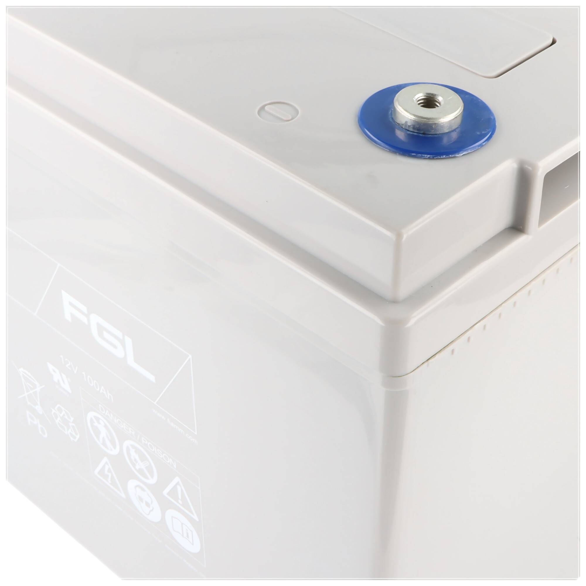 Fiamm 12FGL100 Blei Akku mit M6 Schraubanschluss 12V, 100000mAh