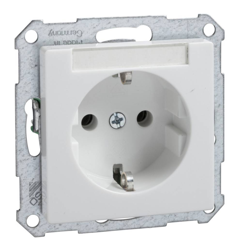 Elso Steckdoseneinsatz rws 265014