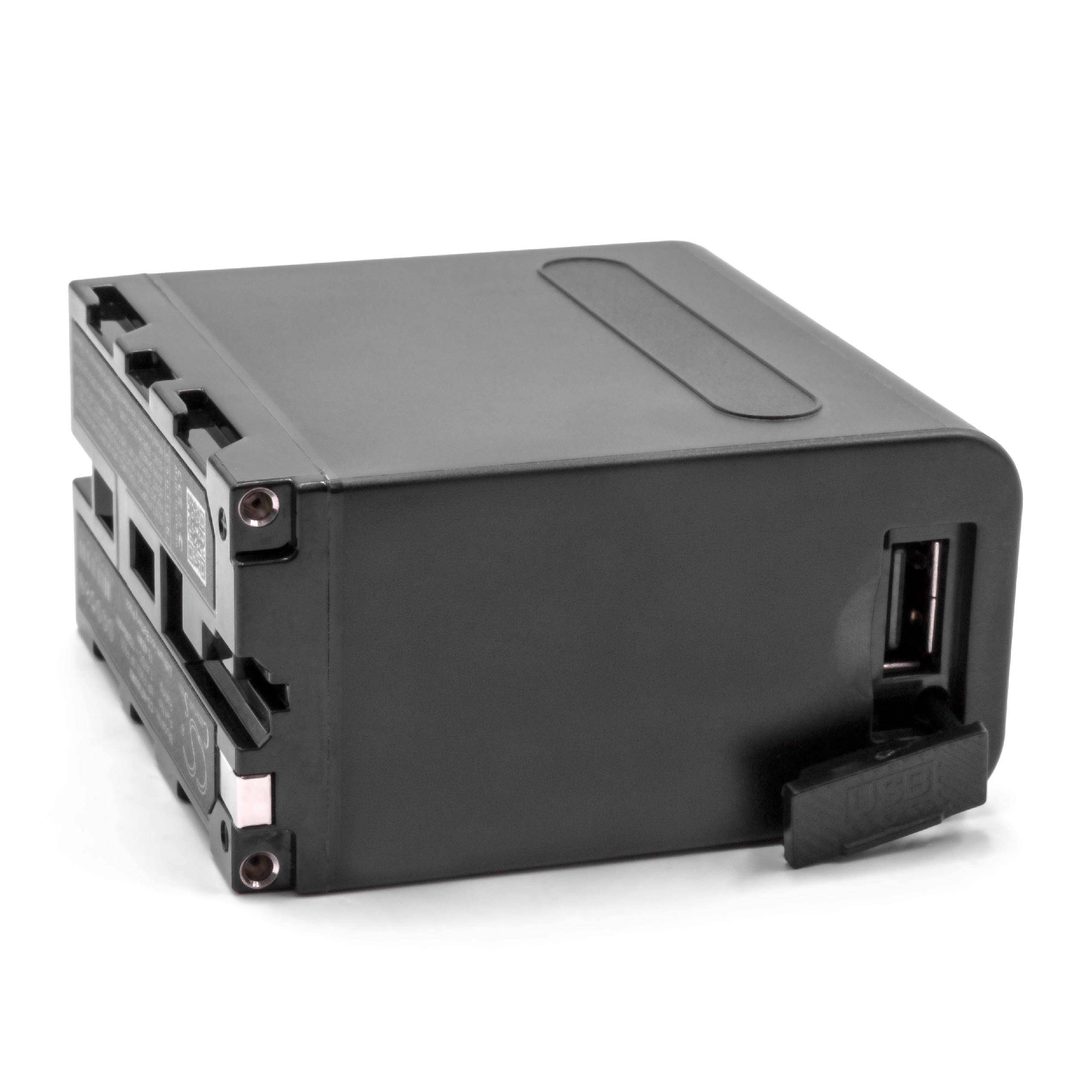 vhbw Akku kompatibel mit Sony HDR-FX7, HVL-ML20, HVL-20DW2, HDR-FX1, HDR-FX7E Videokamera Camcorder (10200 mAh, 7,4 V, Li-Ion) mit USB