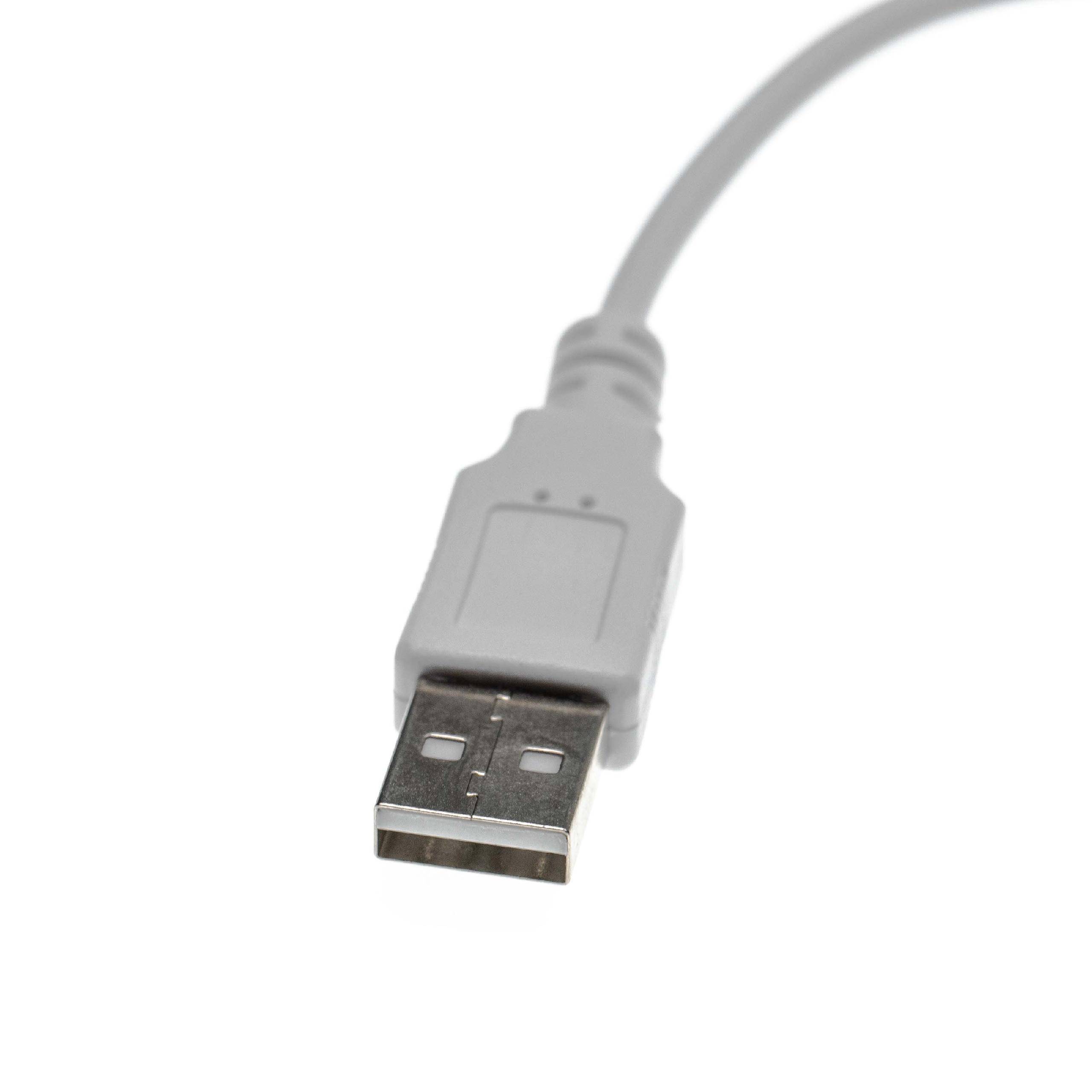 Eine Nahaufnahme eines grauen USB-Kabelsteckers, der vor einem weißen Hintergrund gezeigt wird und die Metallkontakte und die Steckerform hervorhebt.