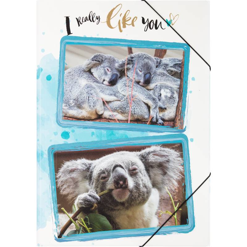 PAGNA Eckspannermappe "Koala", DIN A3, PP