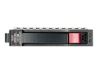 HPE Entry - Festplatte - 160 GB - Hot-Swap - 3.5" (8.9 cm)