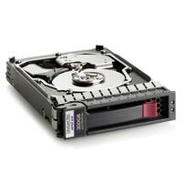 HPE Dual Port - Festplatte - 300 GB - 15000 rpm