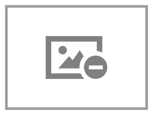 IBM - Festplatte - 4 TB - Hot-Swap - 3.5 LFF (8.9 cm LFF) - SAS 6Gb/s