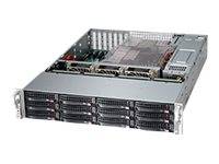 Rackmount-Servergehäuse mit vorderen Laufwerkschächten und freiliegenden internen Komponenten