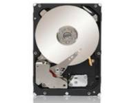 Lenovo - Festplatte - 1 TB - Hot-Swap - 2.5 (6.4 cm) - SAS 6Gb/s