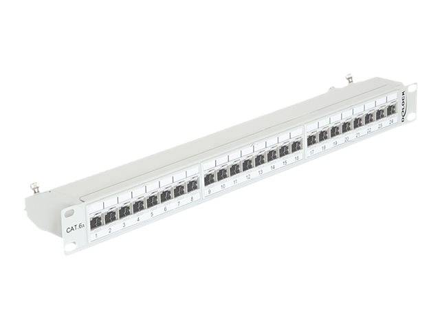 DeLOCK - Patch Panel - RJ-45 X 24 - Hellgrau, RAL 7035 - 1U - 48.3 cm (19")