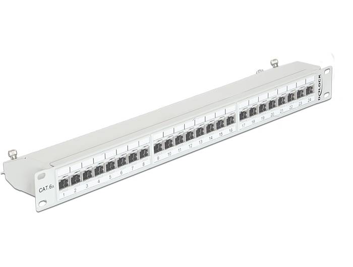 DeLOCK - Patch Panel - RJ-45 X 24 - Hellgrau, RAL 7035 - 1U - 48.3 cm (19")