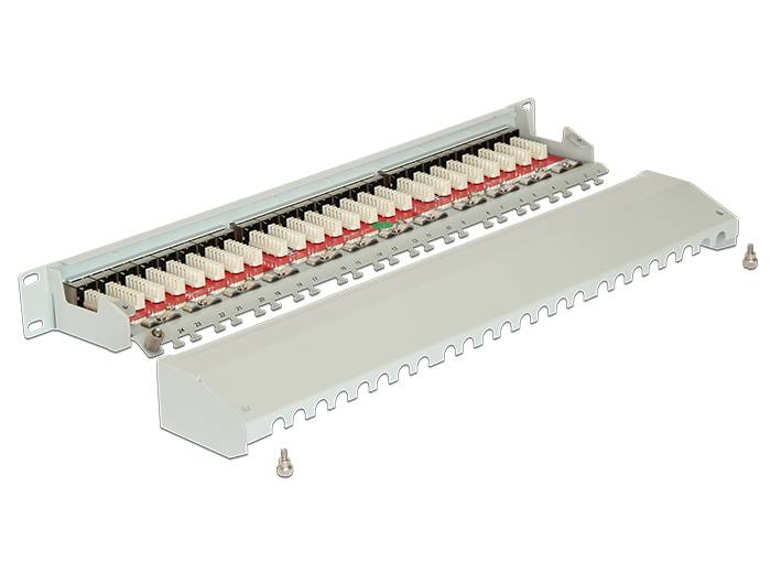 DeLOCK - Patch Panel - RJ-45 X 24 - Hellgrau, RAL 7035 - 1U - 48.3 cm (19")
