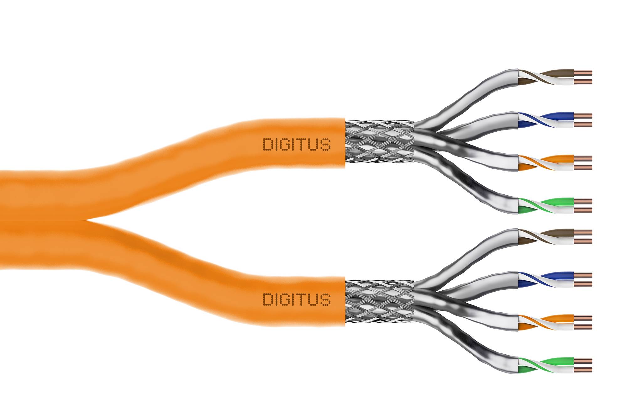 Diagramm zweier Digitus-Kabelzweige, die sich in mehrere farbcodierte Drahtpaare aufteilen und die interne Kabelverkabelungsstruktur zeigen.
