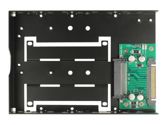 DeLOCK - Laufwerksschachtadapter - 3,5" auf U.2 (8,9 cm auf U.2)