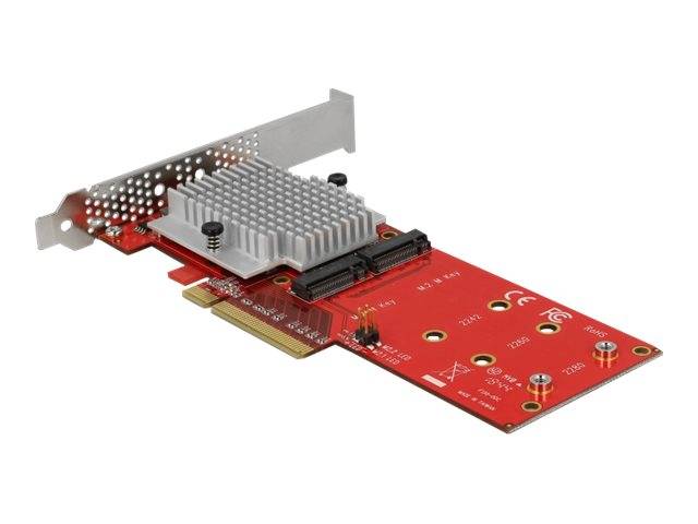 DeLOCK PCI Express Card > 2 x internal M.2 - Schnittstellenadapter
