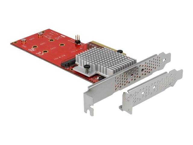 DeLOCK PCI Express Card > 2 x internal M.2 - Schnittstellenadapter
