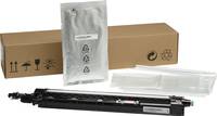 HP Schwarz - Entwickler - für Color LaserJet Managed Flow MFP E87640-E87660 - L
