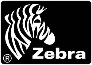 Zebra Z-Perform 1000T - Matt - permanenter Acrylklebstoff - perforiert - 74 x 210 4800 Etikett(en) (6 Rolle(n)