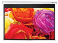 Optoma PMG+ - Leinwand - Deckenmontage möglich, geeignet für Wandmontage - 312 c