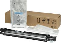HP Cyan - Original - Entwickler - für Color LaserJet E77825, E77830