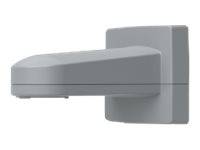 AXIS T91G61 - Halterung für Kameramontage - mit RJ-45 Kabel