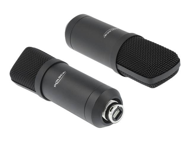 DeLOCK Professional USB Condenser Microphone Set for Podcasting and Gaming