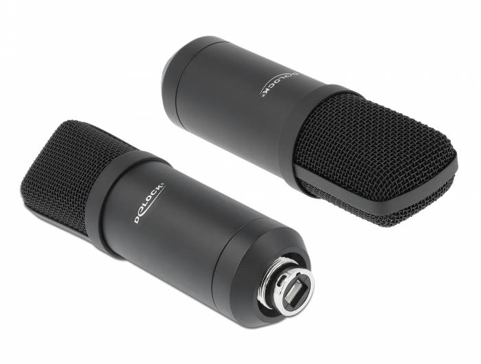 DeLOCK Professional USB Condenser Microphone Set for Podcasting and Gaming