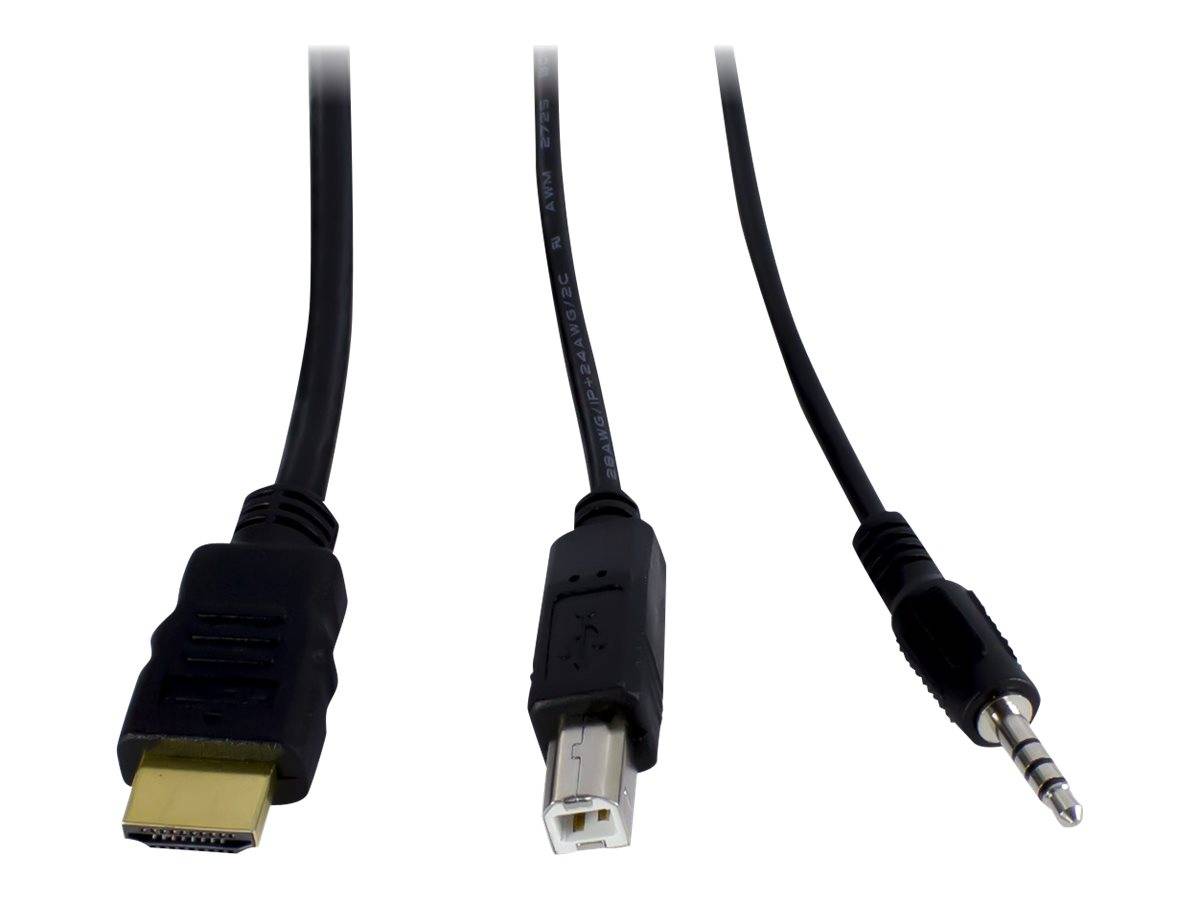 INTER-TECH - Argus KVM AS-41HA - KVM-/Audio-Switch - 4 x KVM/Audio