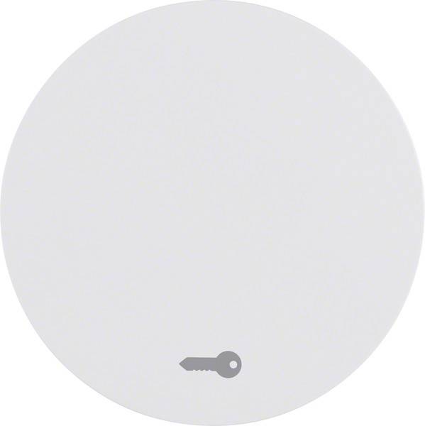 Berker Wippe pows/gl 16202059