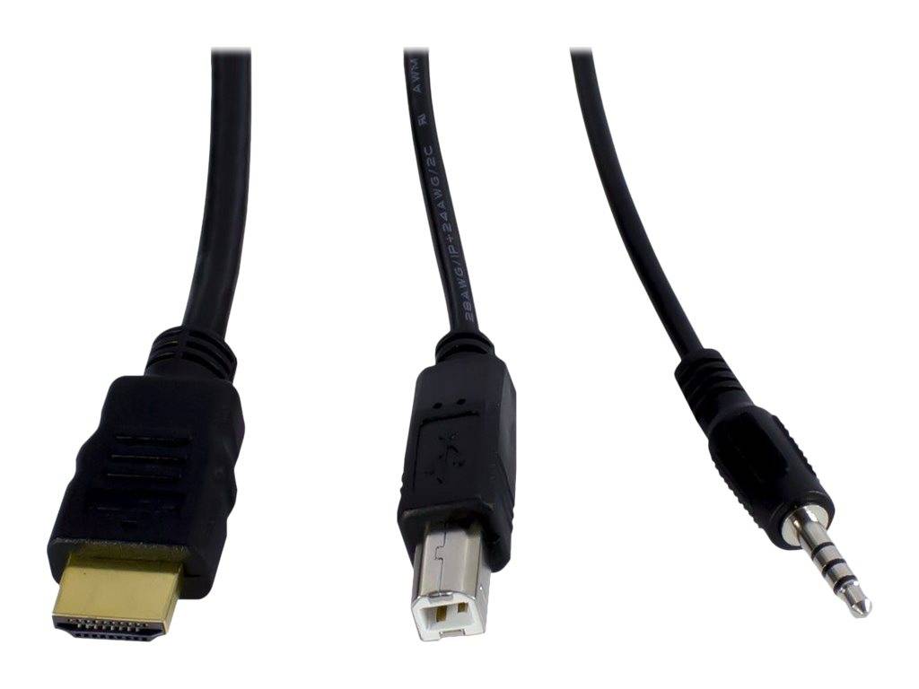 Drei schwarze Kabel mit unterschiedlichen Steckverbindern: HDMI links, USB in der Mitte und ein 3,5-mm-Audiostecker rechts.