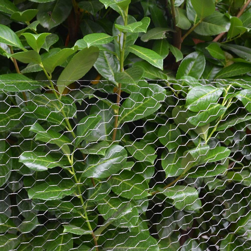 Maschendraht Kaninchendraht Drahtgitter Sechseckgeflecht | 25m Drahtrolle | 75cm(H) | Maschenweite 25x25mm | 0.6mm verzinkt