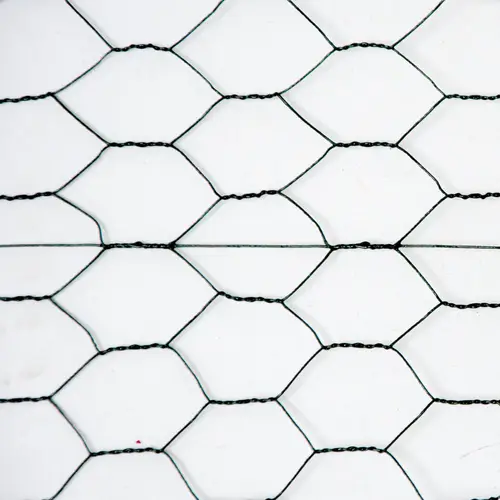 25m x 50cm Maschendrahtzaun Grün - 25x25 Drahtgitter Zaun - Hasendraht Verzinkt 25m x 50cm Maschendrahtzaun Grün - 25x25 Drahtgitter Zaun - Hasendraht Verzinkt