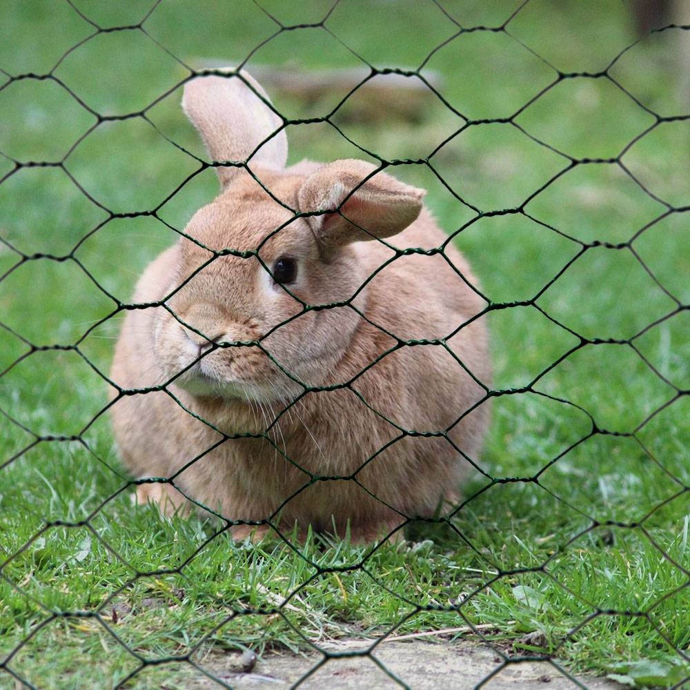 Maschendrahtzaun Set - 5m x 50cm Zaun - 4 Pfosten - 13x13 Zaunset Verzinkt Grün