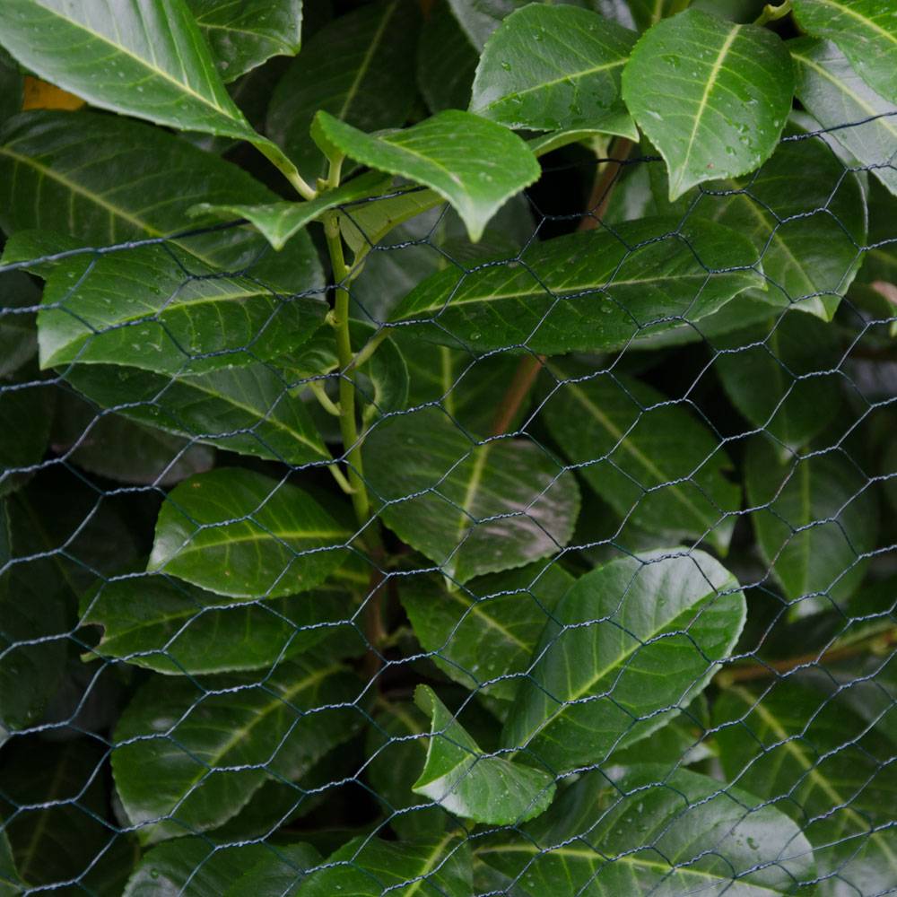 Maschendrahtzaun Set - 5m x 50cm Zaun - 4 Pfosten - 25x25 Zaunset Verzinkt Grün