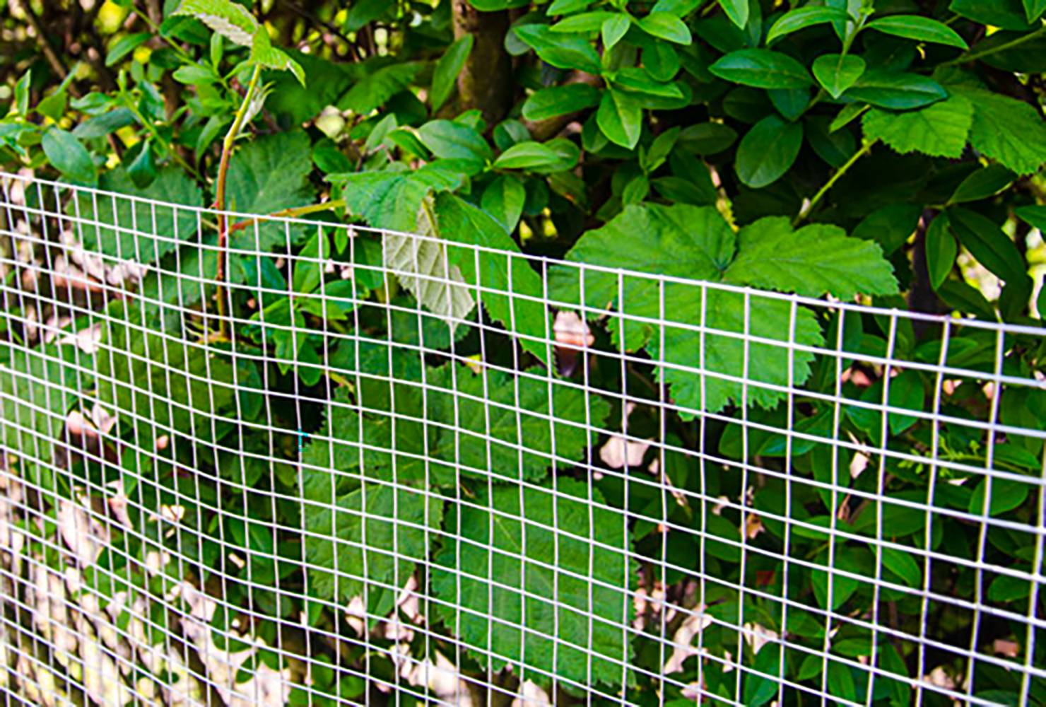 25m x 100cm Volierendraht - Feuerverzinkt 19x19 Maschendrahtzaun Kaninchendraht