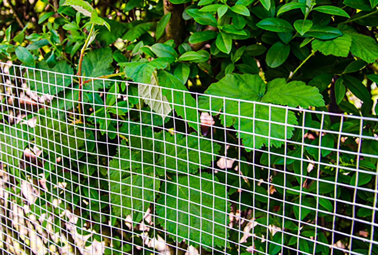 20m x 100cm Volierendraht - Verzinkt 12x12mm - Maschendrahtzaun Kaninchendraht