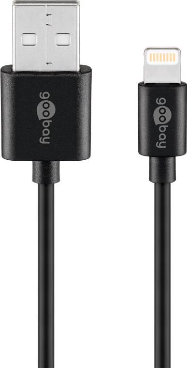 Dual Ladeset 2,4 A, Netzteil mit 2x USB-Ausgang inklusive USB-Ladekabel, schwarz Lightning Connector