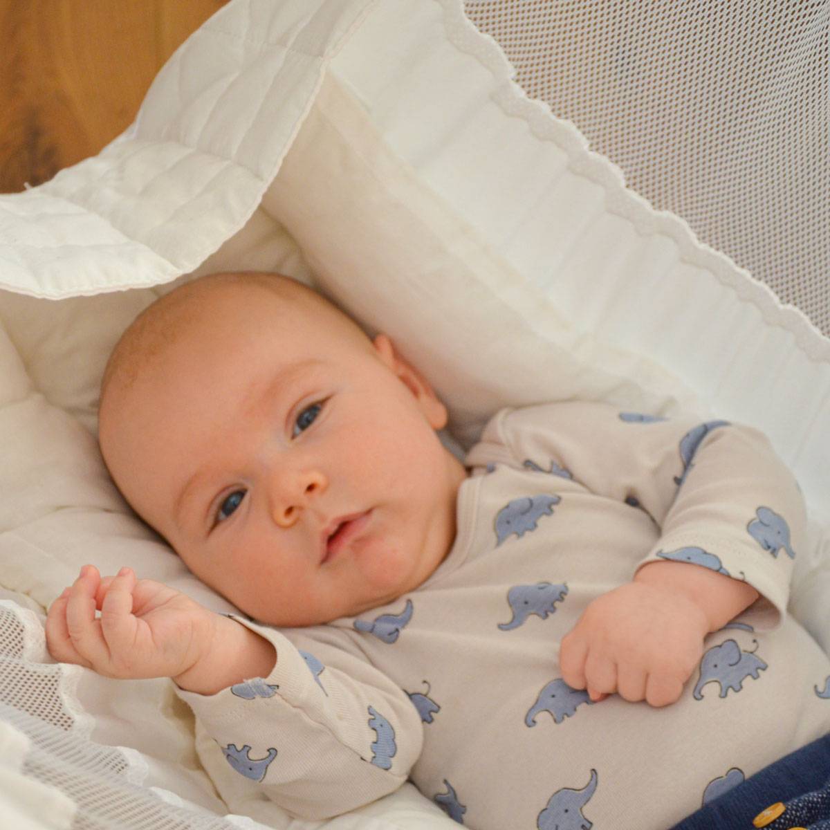 Matte HSG-170 Matte in Weiß + Holzstab + Feder mit 2 Karabiner für Hängestuhlgestell