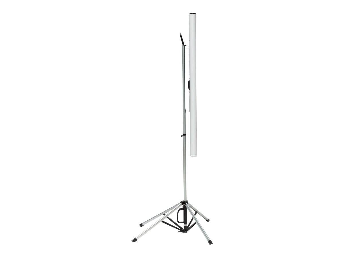 Celexon Mobile Expert Dual Format - Projektionsbildschirm mit Stativ - 203 cm (80")