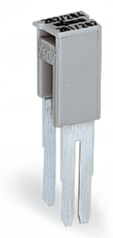 Ein metallischer elektrischer Stecker mit einem grauen Kunststoffgehäuse, der zwei Stifte aufweist, wird aus der Nähe vor einem schlichten weißen Hintergrund gezeigt.