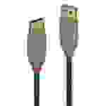 Lindy 36751 1m USB 3.0 Typ A Kabel, Anthra Line