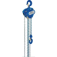 Kettenzug Pullmaster-II Trgf.1500kg Hubh.3m PLANETA Kettenzug Pullmaster-II Trgf.1500kg Hubh.3m PLANETA