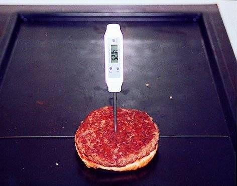 Pocket-DigiTemp Einstech-Thermometer (lange Version) HACCP EN13485