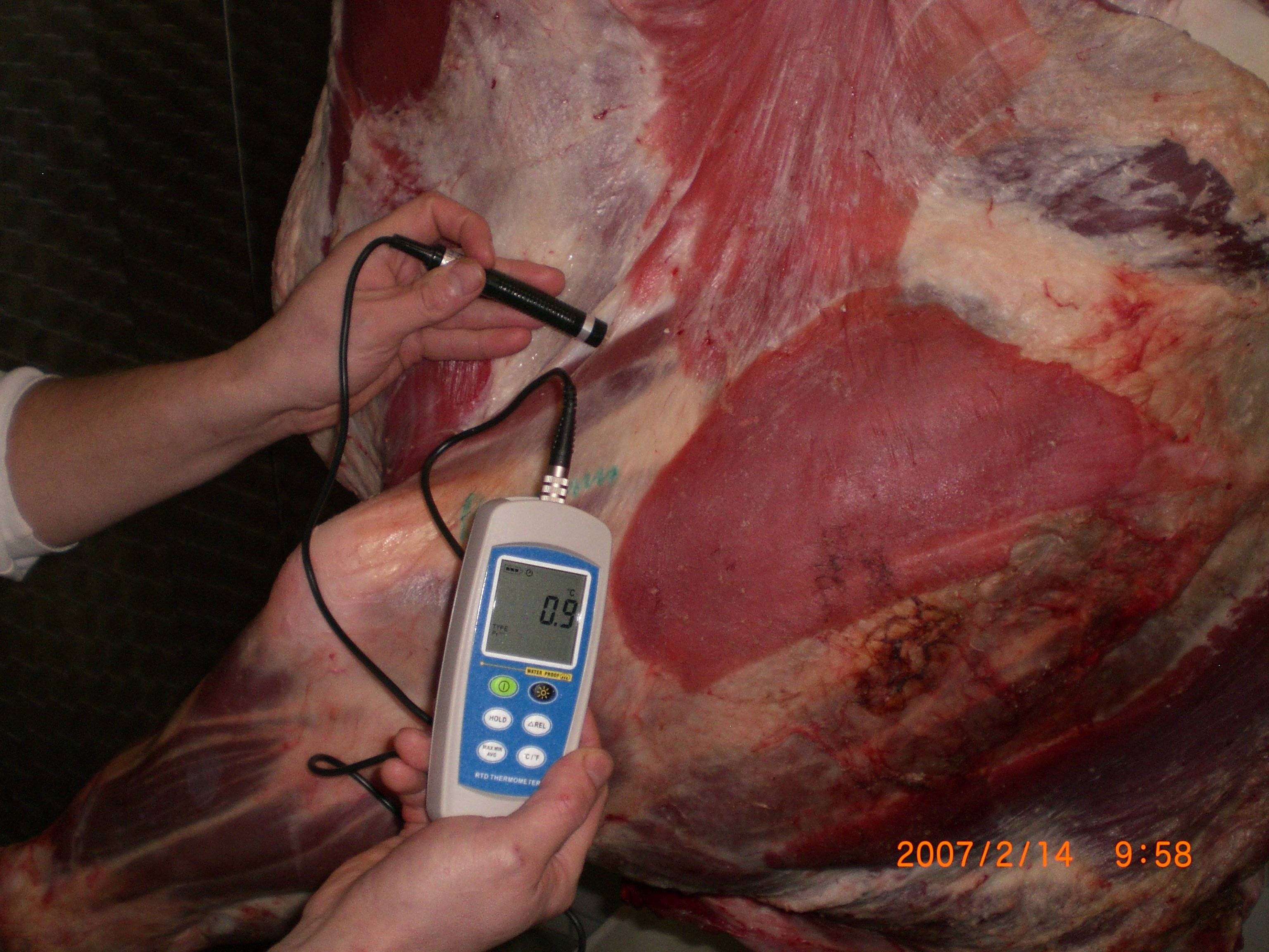 H370, wasserdicht IP 65