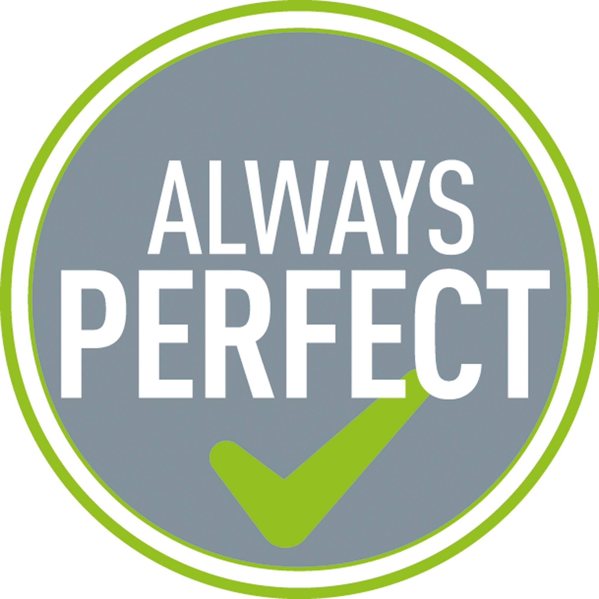 Leitz Locher NeXXt Recycle 50100035 10Blatt bl