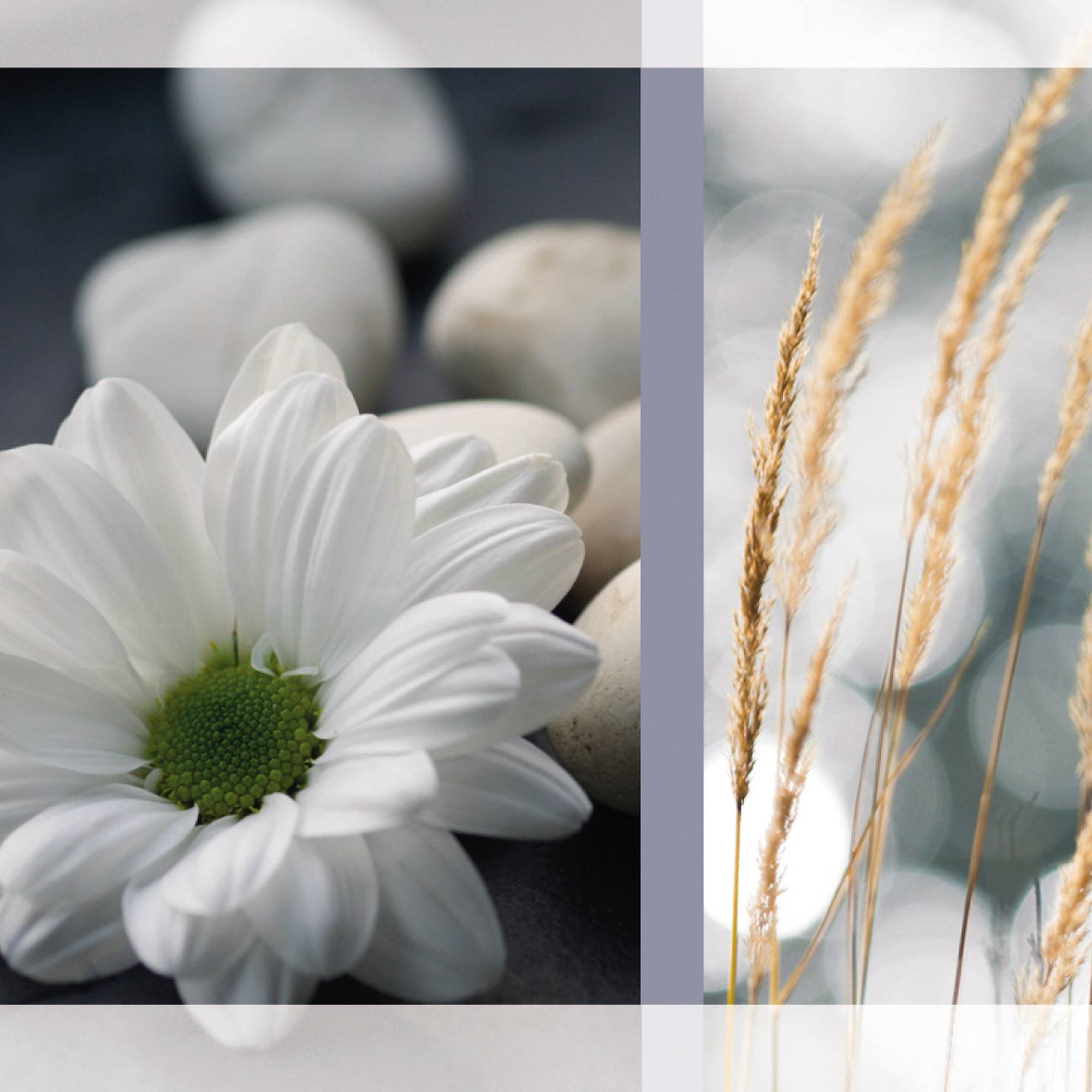 SIGEL Trauerkarte Anteilnahme DS208 DL 220g 10 St./Pack. +Umschläge