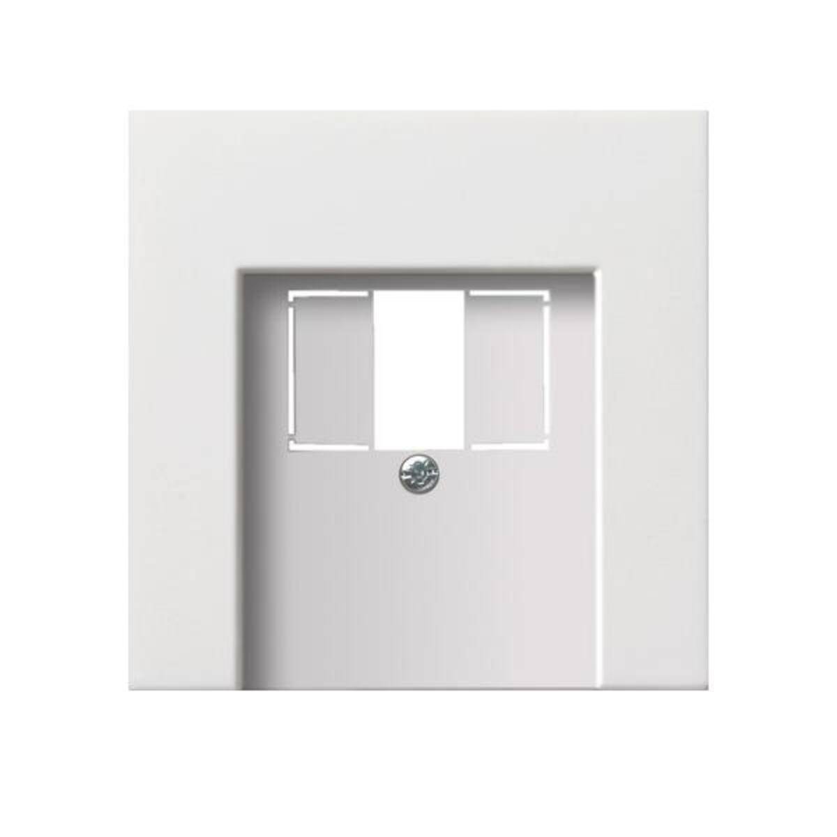 Gira Zentralplatte TAE rws-gl 0276112