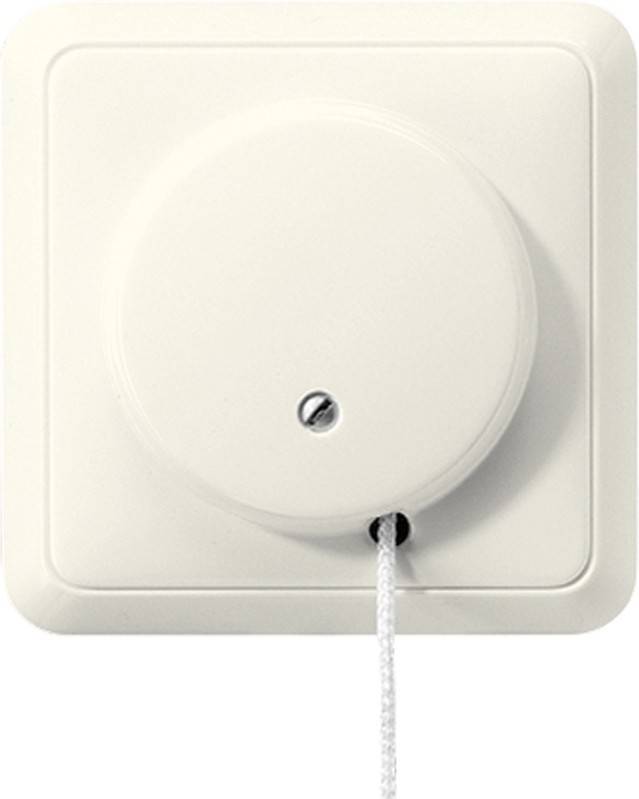 Jung Zugschalter 5506 ZU