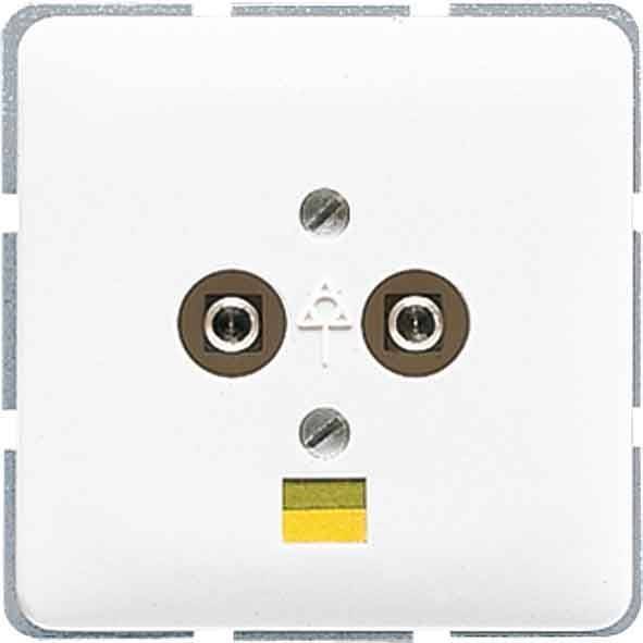 Eine weiße Steckdose mit zwei runden Löchern für Stecker und einem Erdungsstift, die in einen quadratischen Rahmen eingelassen ist.