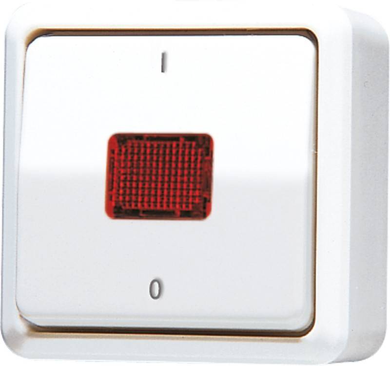 Jung Wipp-Kontrollschalter 602 KOA WW